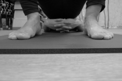 POT JOGE joga zalog 19