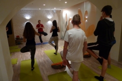 Delavnica joge za mladostnike Pot joge april 2017