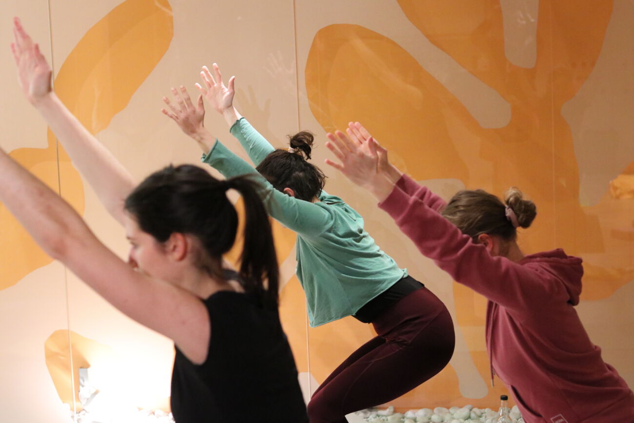 Poučevanje joge. Modul nadaljevalnega učiteljskega tečaja joge (11., 12. JUN 2022)