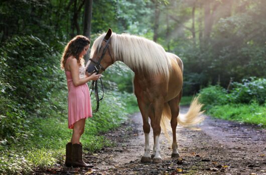 Konji nas sprejmejo takšne kot smo