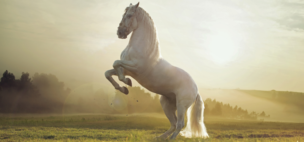 Simbolni pomen konja je povezan s soncem in svetlobo.