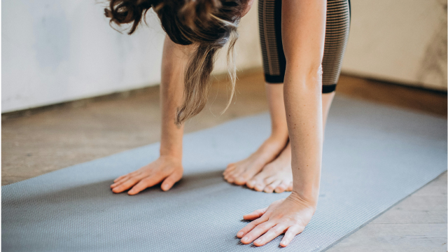 Modul Joga anatomija: Predkloni in iztegi naprej MAJ 2026